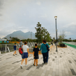 Todo sobre el Puente Verde Monterrey 