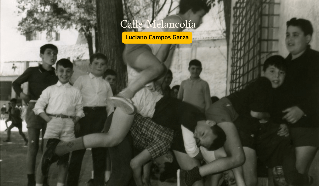 ¡Burro bala!