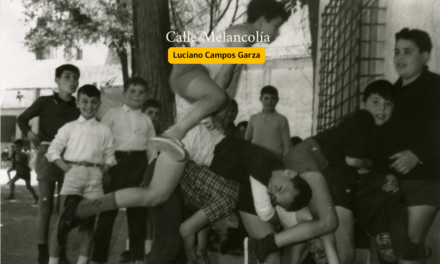 ¡Burro bala!