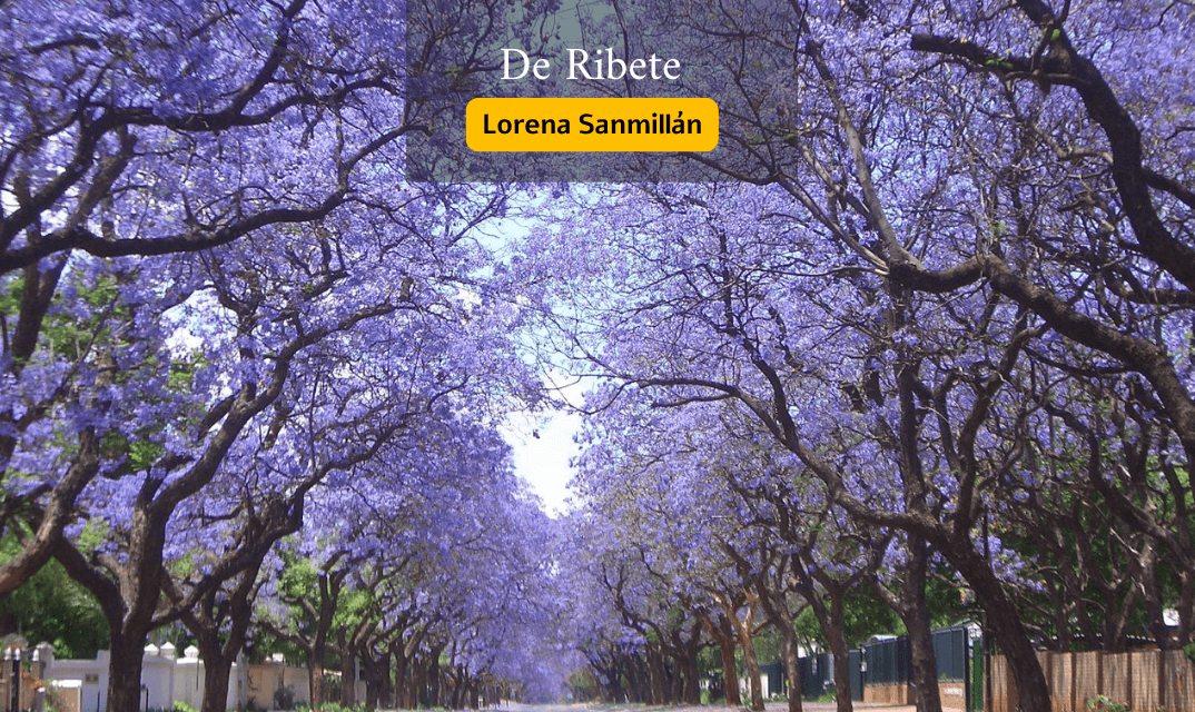 Jacarandas