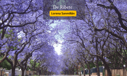 Jacarandas