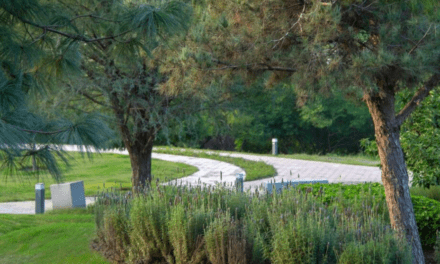 Parque Rufino Tamayo: oasis entre corporativos