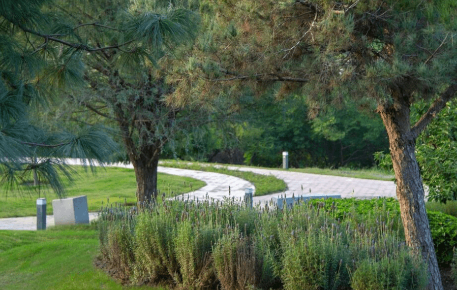 Parque Rufino Tamayo: oasis entre corporativos