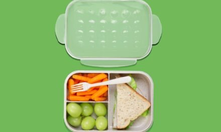 10 ideas de lonche nutritivo para la escuela