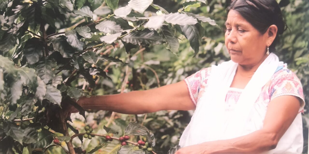 Visita la Expo que honra a las mujeres indígenas