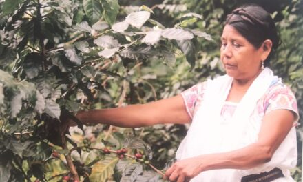 Visita la Expo que honra a las mujeres indígenas