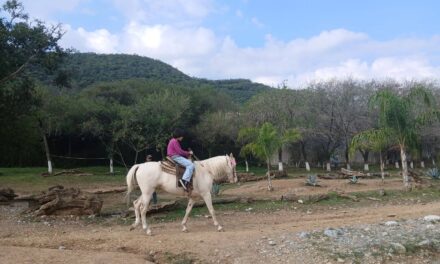 De paseo mágico por Santiago
