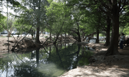 Ojo de agua de Escobedo: tu destino estas vacaciones