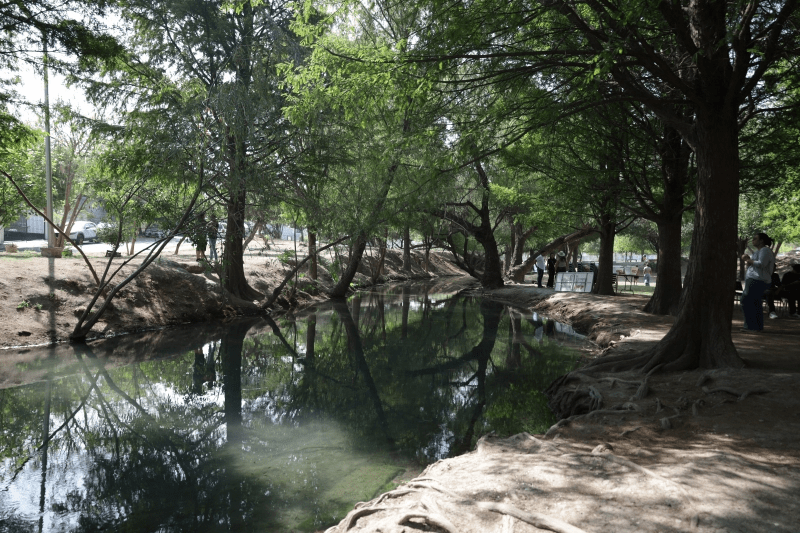 Ojo de agua de Escobedo: tu destino estas vacaciones