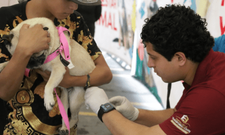 Aplicarán 2 mil vacunas antirrábicas en Escobedo